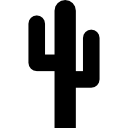 cactus of mexico.png