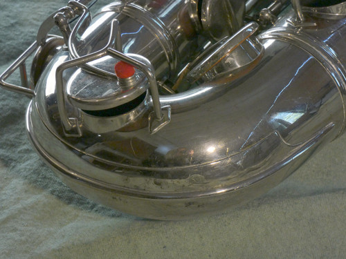 P1120774.JPG.jpg