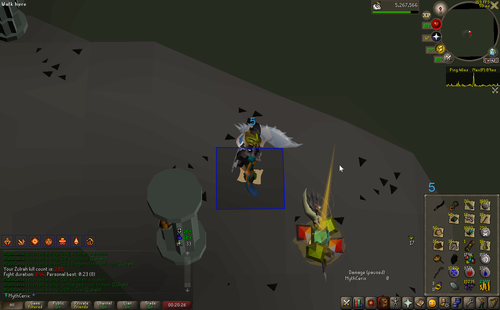 RuneLite gbTXhYRHWX.png