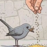 temp.png