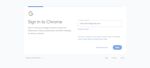 2026 04 20T20 11 50 756Z GOOGLE email entered password.png