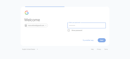 2026 04 20T20 12 01 649Z GOOGLE password entered.png