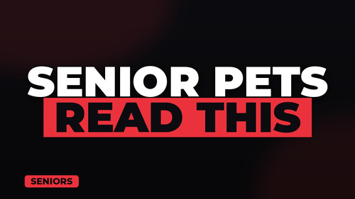 thumb pet insurance for senior pets landscape.png