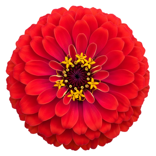 8c0885ea3b23.png