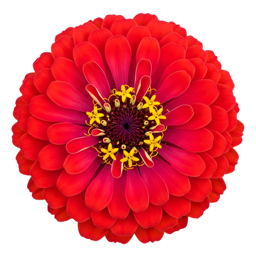 a8db14429d45.png