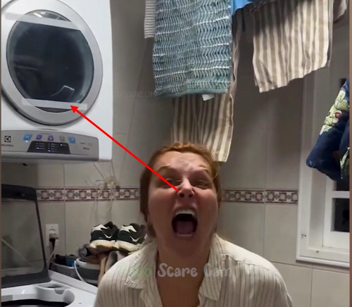 Скриншот 20 04 2026 20 00 22.jpg