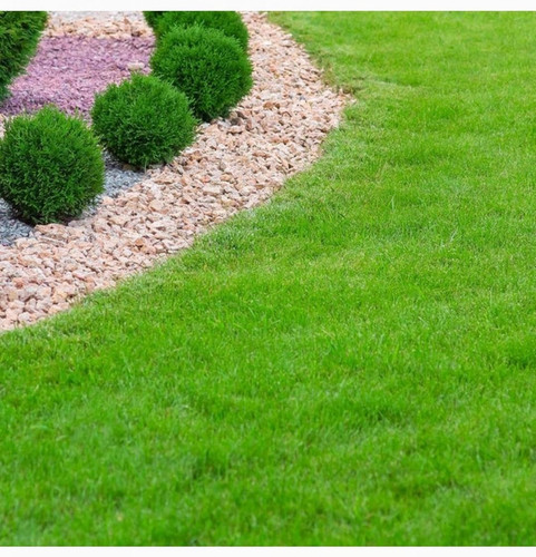 717F2SgU oL. SL1123 .jpg