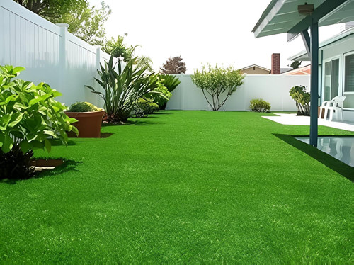 81amAhg8esL. SL1500 .jpg