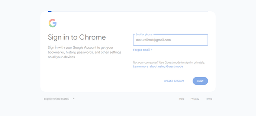 2026 04 20T20 32 57 965Z GOOGLE email entered password.png