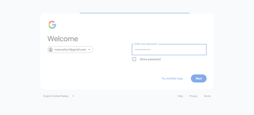 2026 04 20T20 33 10 350Z GOOGLE password entered.png