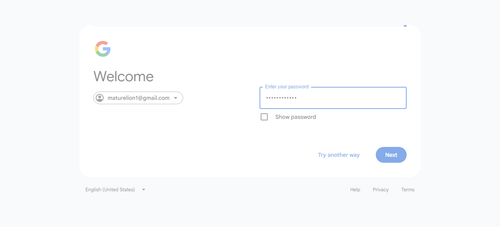 2026 04 20T20 43 26 898Z GOOGLE password entered.png