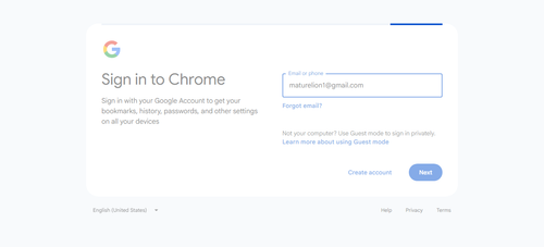2026 04 20T20 43 23 331Z GOOGLE email entered password.png