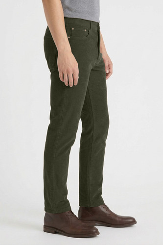 Olive 1.2.jpg