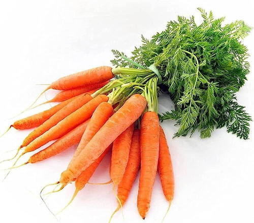 450 carrot gajar seed for planting for home and gardening seeds original imagtathefhzsxhm.jpg
