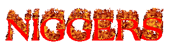 7bbc664d1a79.gif