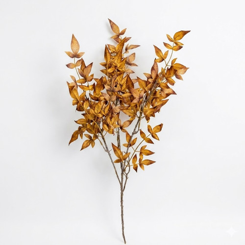 b2c5e075 7b49 4486 9e06 1e3fde04ed7c.jpg