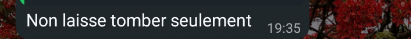 temp.png