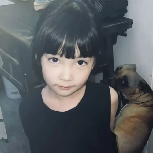 953241c62645.jpg