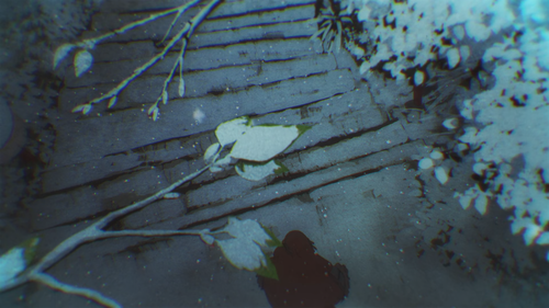 ss 06.png