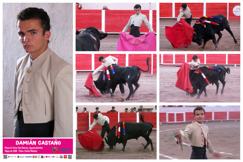 10castanoexpo60x90.jpg