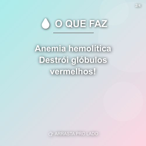 carousel 1777485603842 slide2.png