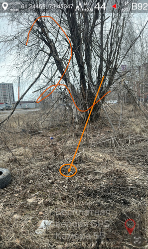 IMG 0046.jpg