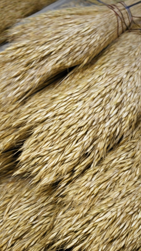 837067ecd8b4.png
