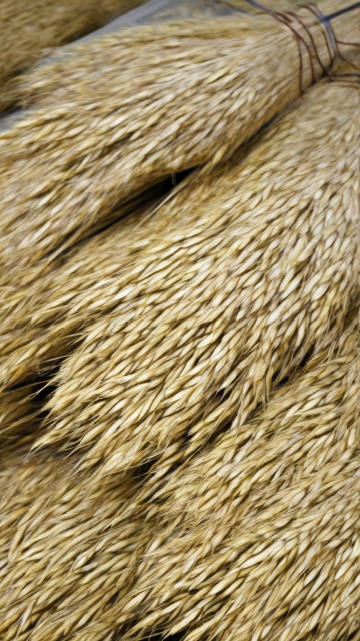 Laurel warns rice could hit P62 per kilo by September in new funding request