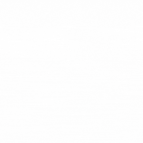 IMG 6122.gif