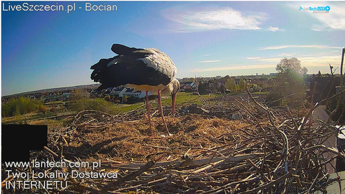 MWSnap748.jpg