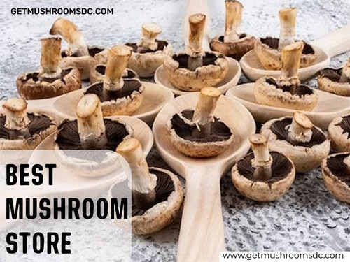 Best Mushroom Store in DC.jpg