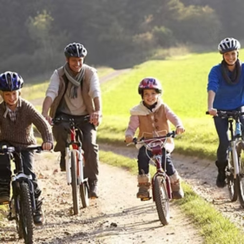 bike shops auckland    ||.jpg