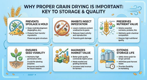 Improve Grain Storage with Effective Drying Methods.jpg