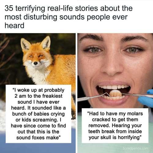 most disturbing sound heard sharing2.jpg