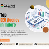 top seo agency in indore (1) (1) (1)