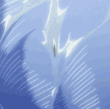 halibel tier.gif