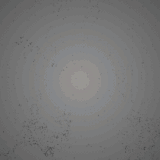 labour day gif.gif