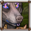 IMG 0477.png