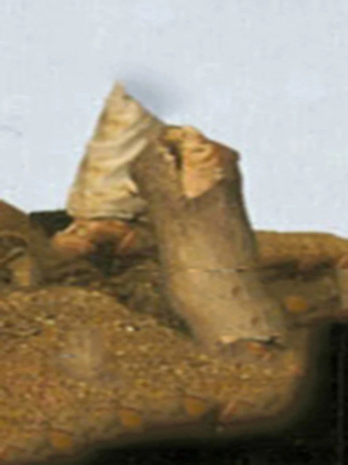 8bca43941e68.jpg