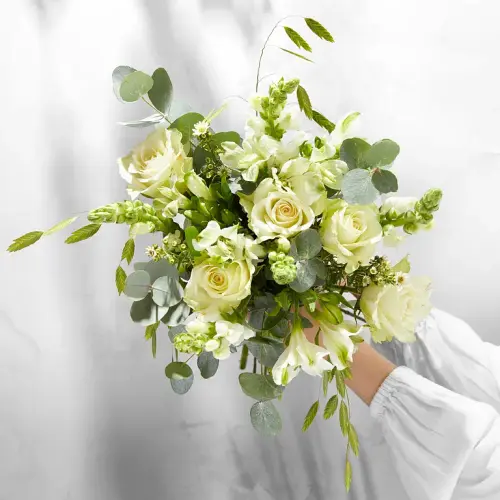 4d4107f3 6cb1 4a1e 9c5f fc6069acfcdf.webp