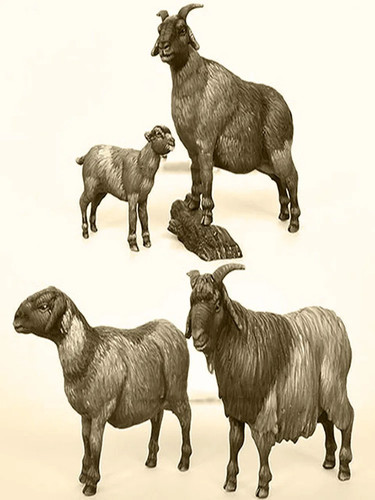 efd5da338ad2.jpg