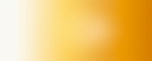 minimal elegant wide banner with.jpg
