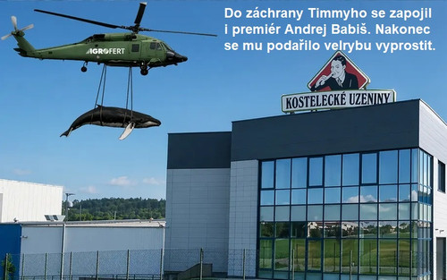 timmy.jpg
