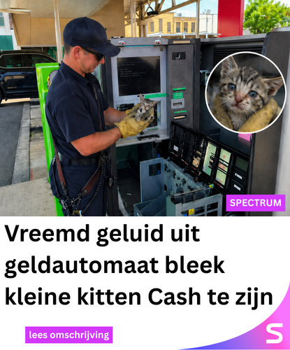 Spectrum Netwerk 143 (34).png