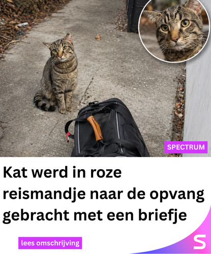 Spectrum Netwerk 143 (36).png