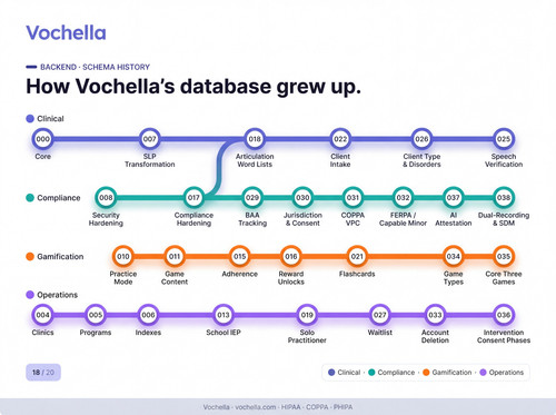 vochella 18 schema story.jpg