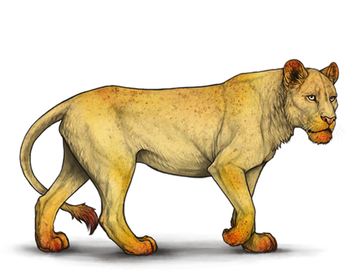 marula.png