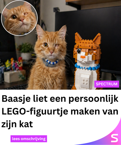 Spectrum Netwerk 143 (35).png