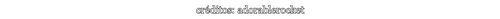 adorablerocket Info.png