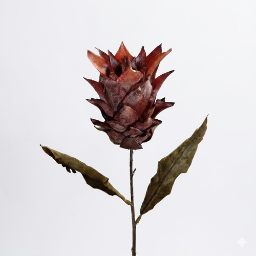 b0ee00e3 71fa 46e8 aa6a da984d6da250.jpg